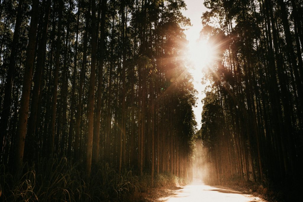 Meu corpo, meus orgasmos e o cuidado de manter minha luz acesa