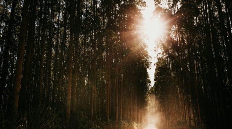 Meu corpo, meus orgasmos e o cuidado de manter minha luz acesa